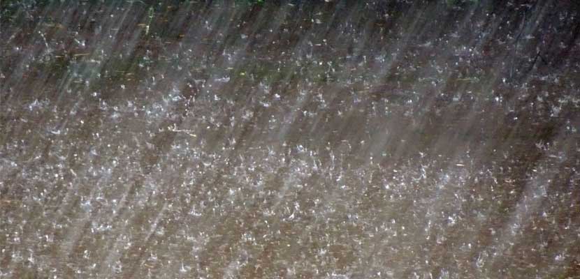 建物がある限り保証する「永年保証」